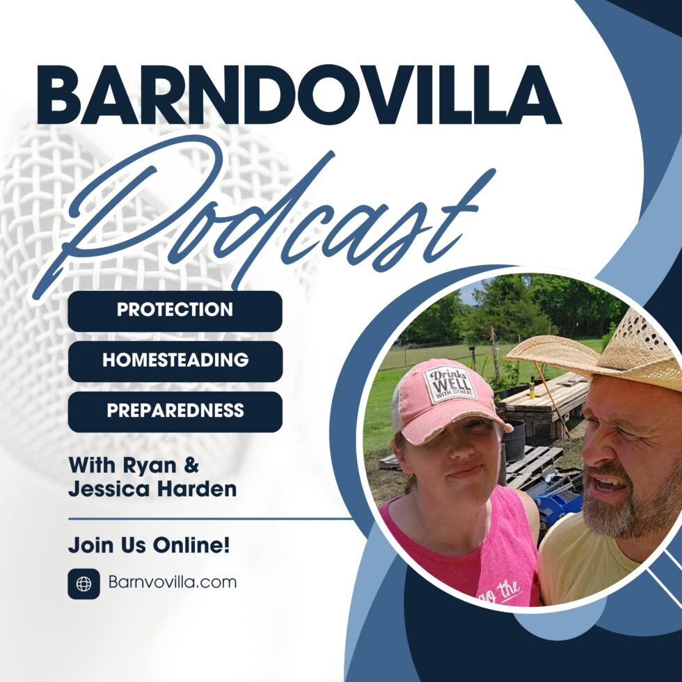 The New Barndovilla Podcast