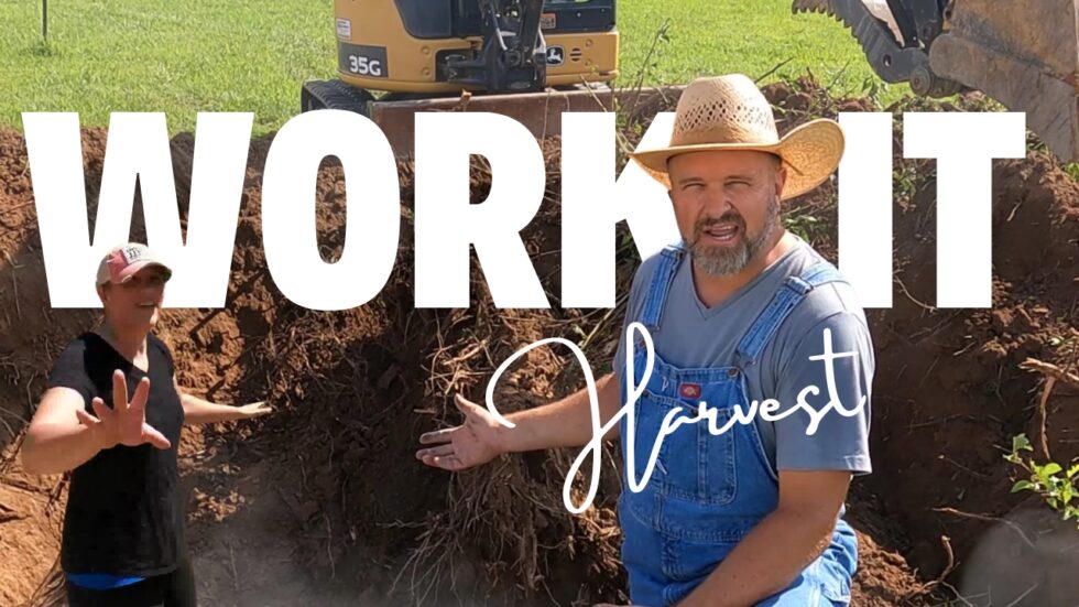 Essential Homestead Hacks, Stump Removal, Helping Friends, Harvest, and New Chicken Fencing