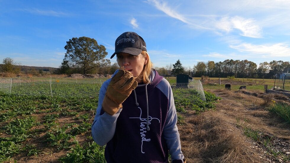 End-of-Season Harvest and Tiny Home Build at Tilted K Homestead